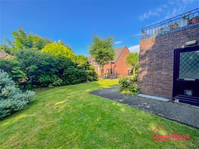 Picture 19